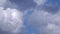 Flock of storks are flying in the blue sky and puffy clouds at the background