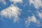 Flock swallow sitting on wires against blue sky