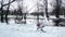 A flock of swans goes to meet people who have come to feed them