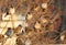 A flock of tree sparrow sits on the bush in LAB mode