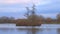 A flock of tufted ducks in a lake in Denmark - Birds spend a winter season