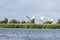 A flock of Tundra Swans fly over a lake