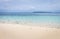 Flock of white and black birds on tropical beach. Seagulls on white sand beach. Scenic tropical seascape with blue water.