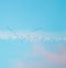 Flock of wild birds flying in a wedge against blue sky with white and pink clouds in sunset