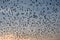 Flocking behavior of Starlings Birds in Bikaner