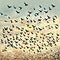 Flocks of birds, AI-generatet