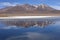 Flocks of birds stand on the frozen waters of Laguna Canapa, in the mountains of the Sud Lipez province, Uyuni, Bolivia