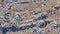 Flocks of gulls and hawks over the garbage dump. Aerial view