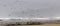 Flocks of seagulls flying along the coastal sand beach