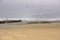 Flocks of seagulls flying along the coastal sand beach