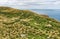 Flocks of sheep graze in the fields with spectacular ocean views