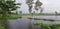 Flood area at Bangladesh