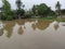 Flood in assam,india. in summer season