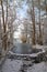 Flood bay and marsh land of a partly frozen lake between snow-covered bare alder trees  forest landscape in winter in north