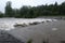 Flood in the Czech Republic, in may 2019. Czech river is beginning to pour out of the river bed. Raging river after torrential