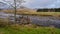 Flood debris and wood collected on a fence beside the water of Deugh river