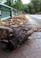 Flood Destruction On Bridge