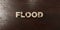 Flood - grungy wooden headline on Maple - 3D rendered royalty free stock image