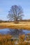 Flood-meadow at early spring