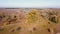 Flood meadows with rarely growing trees next river, aerial view