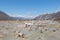 Flood plain of Rangitata River in the middle of summer