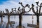 Flood on the Rhine near RÃ¼desheim / Germany