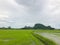 Flood in rice field and mountain at thailand