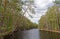 Flood on the Siberian taiga river