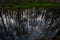 Flood spring forest reflected in the water early in the morning of the river