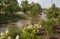 Flood water covering walking trail and pedestrian bridge in park with wildflowers near Arkansas River in Tulsa OK USA during 100-