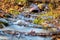 Flood water gushes through an intersting pipe and downed branches surrounded by colorful fall foliage