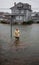 Flood Water in Street Hurricane Sandy
