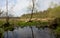 Flooded abandoned meadows in springtime