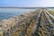 Flooded agricultural field at winter