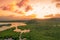 Flooded amazonian rainforest in Negro River at sunset time, Amazonas, Brazil.