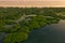 Flooded amazonian rainforest in Negro River at sunset time, Amazonas, Brazil.