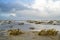 Flooded beach with Sand couch grass