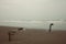 Flooded beach in stormy weather