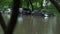 Flooded cars on the street of the city. Street after heavy rain. Water could enter the engine, transmission parts or other places