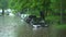 Flooded cars on the street of the city. Street after heavy rain. Water could enter the engine, transmission parts or other places