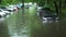 Flooded cars on the street of the city. Street after heavy rain. Water could enter the engine, transmission parts or other places