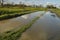 A flooded country lane in Brittany