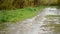 Flooded country road. Rain drops falling to the puddles and making bubbles. HD video footage 1080p