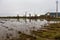 Flooded Cultivation Field After Heavy Rain