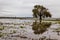 Flooded Cultivation Field After Heavy Rain