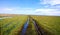 Flooded dirt road