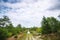 Flooded dirt road in wild nature