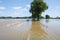 Flooded Dutch polder area next to a dike overgrown with grass. Flood in Limburg in July 2021