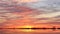 Flooded field and treeline at sunset reflecting in water with flying geese high in the sky