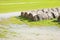 Flooded fields with wet hay bales after torrential rain